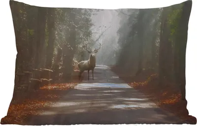 Produktbild von MuchoWow® Outdoor Kissen - Hirsche - Wald - Sonnenstrahlen - 60x40 cm - Wetterfest - Lounge Kissen - Zierkissen - Kissen für Innenräume
