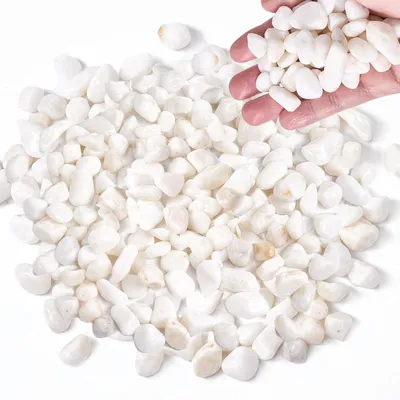 Image de Dekorationsgalets blancs, 1 kg, de 12 à 15 mm, pour jardin et pots de fleurs