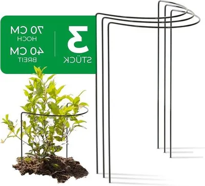 Image de Tuteur métallique - Support pour plantes - Tuteur - Forme semi-circulaire - 40 cm x 70 cm - Vert