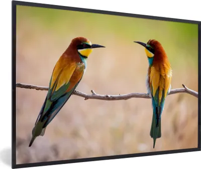 Produktbild von MuchoWow® Gerahmtes Poster Vögel - Bienenfresser - Tiere 90x60 cm - Poster mit Schwarzem Bilderrahmen Wandposter Rahmen Foto Bilder - Fotorahmen - Foto-Plakat