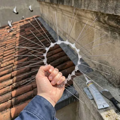 Obrázek produktu pro Nerezové hroty proti holubům, 3 řady, délka 50 cm, 5 ks