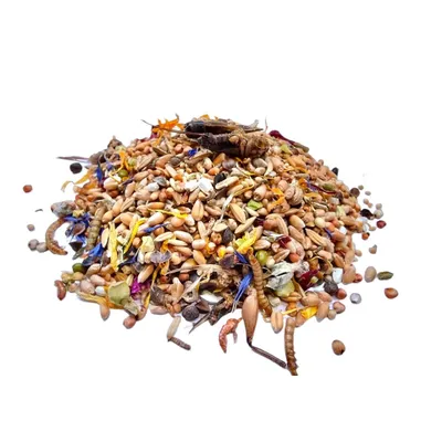 Produktbild von WachtelGlück® Zwergwachtelfutter spezial