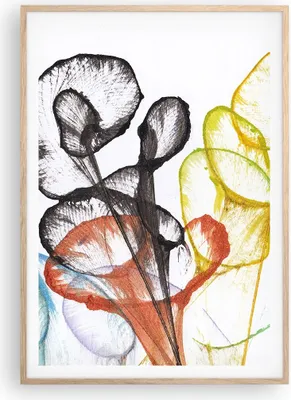 Produktbild von Gerahmtes Poster - Rahmen in heller Eiche - Blumen Abstraktion Surrealismus - 70x100 cm - Wand Bild - Wanddeko - Wandbilder - Kunstposter - Wandposter - Bilderrahmen - Bilder - P2NPA70x100-4444