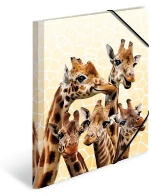Produktbild von HERMA Sammelmappen A4 Giraffe Set, 3 Stück, Kinder Eckspanner-Mappen aus Kunstst