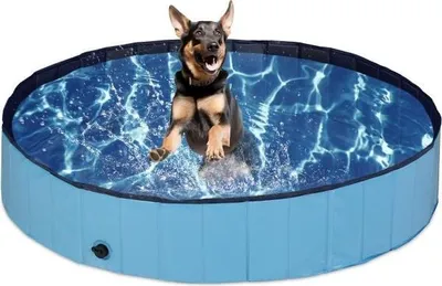Image de Piscine pour chien 160x30 cm