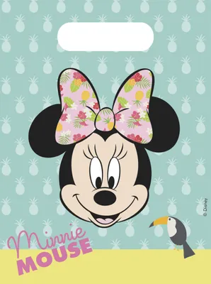 Produktbild von Disney Minnie Geschenktüte 6 Stück