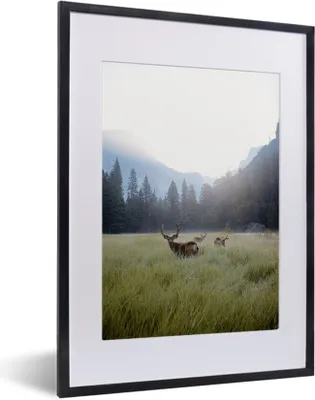 Produktbild von MuchoWow® MuchoWow® Gerahmtes Poster Wald - Hirsche - Nebel 30x40 cm - Poster mit zchwarzem Bilderrahmen - Wandposter Schlafzimmer