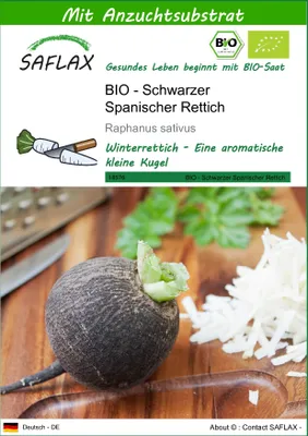 Produktbild von SAFLAX - BIO - Schwarzer Spanischer Rettich - 100 Samen - Mit keimfreiem Anzuchtsubstrat - Raphanus sativus