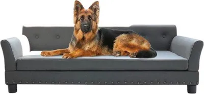 Immagine prodotto di Panchina per cani grande XL 100 kg Grigio 120x74x40 cm