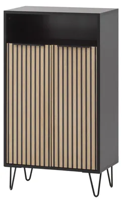 Schuhschrank, 2 Türen, Akustikpaneel-Optik, mattschwarz, 60,2 x 33,1 x 107,9 cm