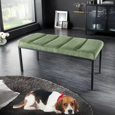 Produktbild von Elegante Sitzbank PLANO 80cm grün Cord
