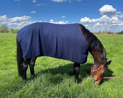 Productafbeelding van Paardenzweetdeken - Fleece paardendeken - Paard warm houden - Ademend vochtabsorberend - Maat 125 - Navyblauw