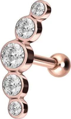 Produktbild von Ohrpiercing Chirurgenstahl Ohrpiercing 5 KRISTALLE RoséGold Designgröße: 5 x 14,5mm