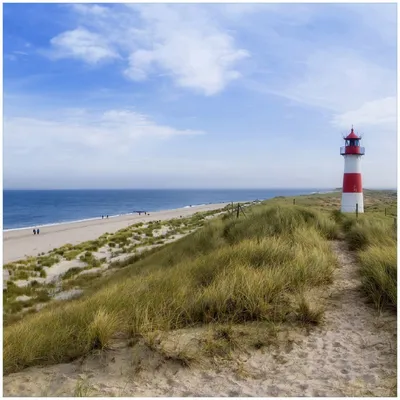 Produktbild von Wallario Memoboard Magnettafel aus Glas, Größe 50 x 50 cm, Motiv Am Strand von Sylt  Leuchtturm auf der Düne  Panorama