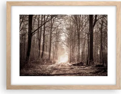 Produktbild von Gerahmtes Poster - Rahmen in heller Eiche - Wald Straße Baum - 40x30 cm - Wand Bild - Wanddeko - Wandbilder - Kunstposter - Wandposter - Bilderrahmen - Bilder - Kunstdruck - Wandbild - P2NAA40x30-3620