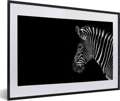 Produktbild von MuchoWow® Gerahmtes Poster Zebra - Wilde Tiere - Schwarz 60x40 cm - Poster mit Schwarzem Bilderrahmen Wandposter Rahmen Foto Bilder - Schlafzimmer - Plakat in Rahmen - Drucken
