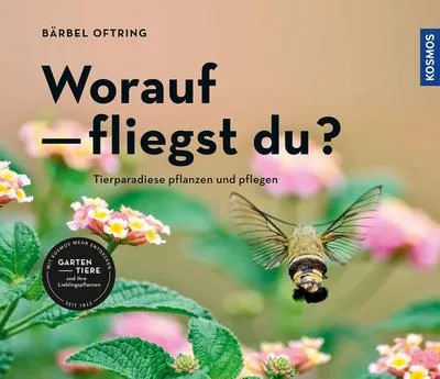 Immagine prodotto di Worauf fliegst du?