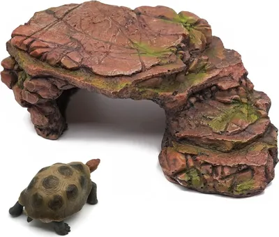 Produktbild von Famanu Schutzhöhle für Schildkröten - Gekko - Wasserschildkröte - Reptilien- und Amphibienzubehör
