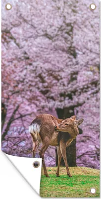 Produktbild von MuchoWow® 40x80 cm Outdoor-Poster Gartendeko Sichtschutz Garten Poster für den Garten  Hirsch - Rosa - Blüte