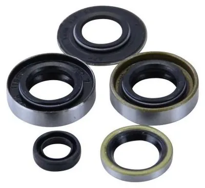 Image de Jeu de joints d'arbre moteur pour Sachs 50/3 50/4 Kickstart moteur