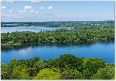 Produktbild von Tulup® Glas-Bild - 100 x 70 - Wandbild aus Glas - Wandkunst - Wandbild hinter gehärtetem Sicherheitsglas - Landschaften - Wald am See - Blau