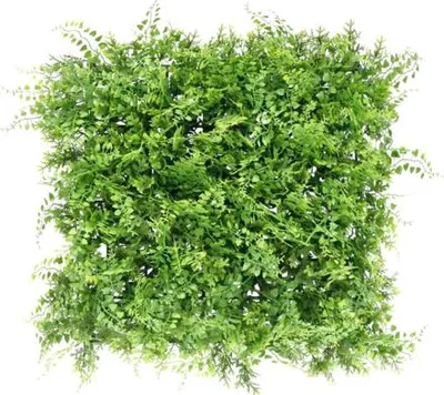 Produktbild von Künstliche Pflanzenwand Farn 38 x 38 cm