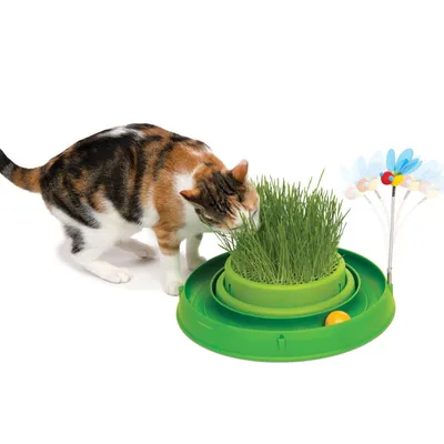 Produktbild von CATIT Play-n-Scratch mit Grasgarten - Grün
