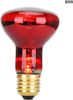 Immagine prodotto di E27 R63 infrarossi - rettili - lampadine - lampada riscaldante per animali per tartarughe - serpenti60W