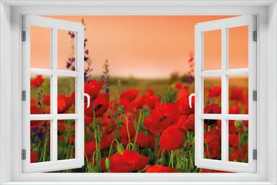 Produktbild von Wallario Wandbild aus Acryl, 60 x 90 cm, freischwebende Optik - Mohnblumen auf dem Feld mit Fenster-Illusion