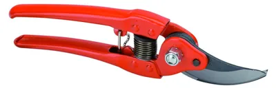 Image de Secateurs