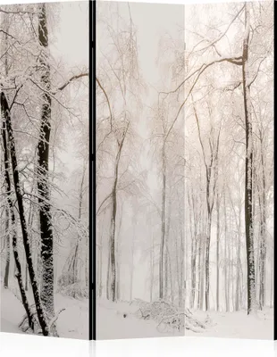 Zdjęcie produktu dla LUMASOUL Parawan Jednostronny, parawan do wnętrz, motyw zimowy, 135x172 cm