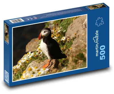 Produktbild von Puzzle 500 Papageitaucher in natürlicher Umgebung - martinpuzzle