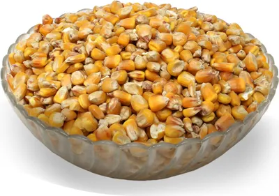 Produktbild von LanDixx Futtermais 10 kg Mais Hühnerfutter Geflügelfutter Maiskörner