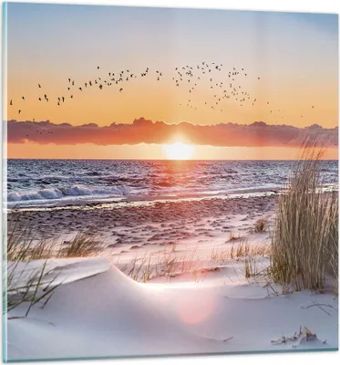 Produktbild von Bilder auf glas - Einteilig - Sonne Strand Vögel - 60x60cm - Glasbilder - Wandbilder - Bilder - zum Aufhängen bereit - Wanddekoration aus Glas - Glas Bilder - Wandbild auf Glas - GAC60x60-4727