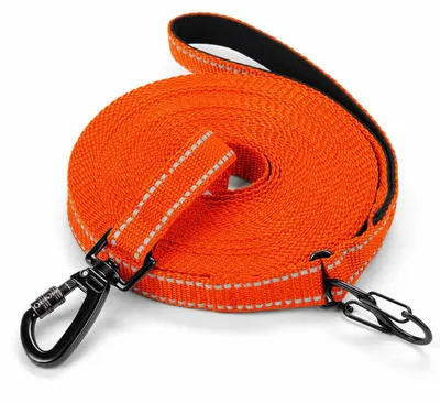 Imagen del producto de Correa reflectante para perros, de 2 a 30 metros, ideal para entrenamiento y paseos