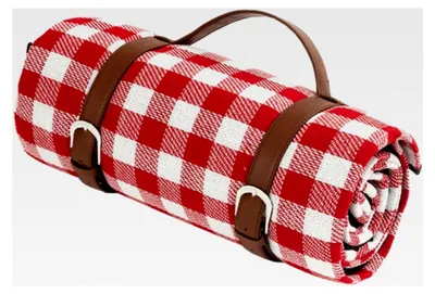 Produktbild von Wasserdichte Picknickdecke mit Tragegriff, vielseitige Strandmatte für Reisen und Camping, rot-weiß kariert