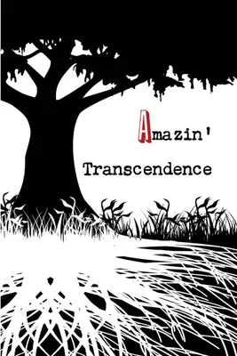 Immagine prodotto di Amazin' Transcendence – Lingua: Inglese