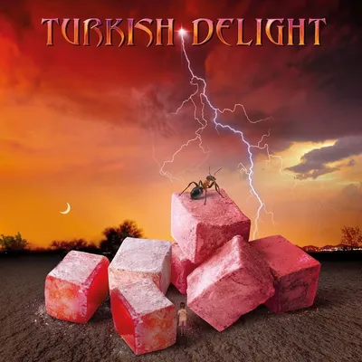 Produktbild von Various: Turkish Delight Vol.1