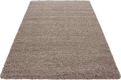 Produktbild von Teppich Wohnzimmer Hochflor Beige 300x400 Rechteck Unicolor - Einfarbig aus Polypropylen