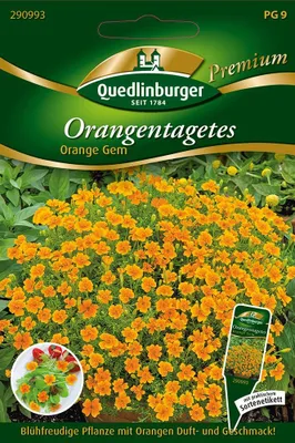 Zdjęcie produktu dla Quedlinburger Saatgut - Aksamitka pomarańczowa GEM - Nasiona - 290993