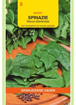 Imagen del producto de Espinaca "Oranjeband" de Nueva Zelanda - 1 paquete de semillas