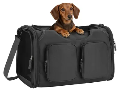 Immagine prodotto di Borsa pieghevole per il trasporto di animali domestici