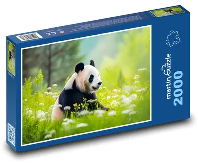 Obrázok produktu pre Puzzle 2000 Panda na rozkvitnutej lúke - martinpuzzle