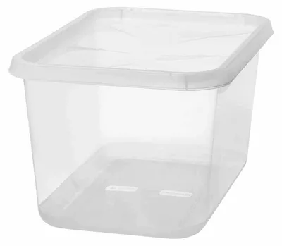 Image de smartstore 3063070 smartstore Aufbewahrungsbox BASIC L, 44 Liter, transparent
