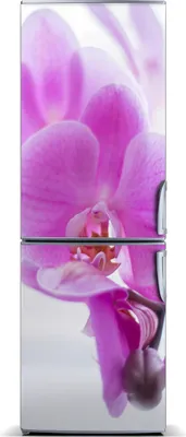Produktbild von Tulup Kühlschrankdekoration - Magnetmatte - 70 cm x 190 cm - Magnet auf dem Kühlschrank - Rosa Orchidee