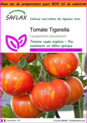 Image de SAFLAX Garden in the bag - Tomate Tigerella - 10 graines - Lycopersicon
