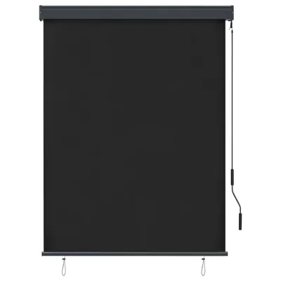 Produktbild von vidaXL Außenrollo 120 x 250 cm Anthrazit