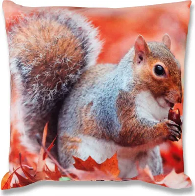 Immagine prodotto di Copricuscino con stampa fotografica 40x40 cm, Morbido copricuscino con imbottitura, Motivo: Scoiattolo
