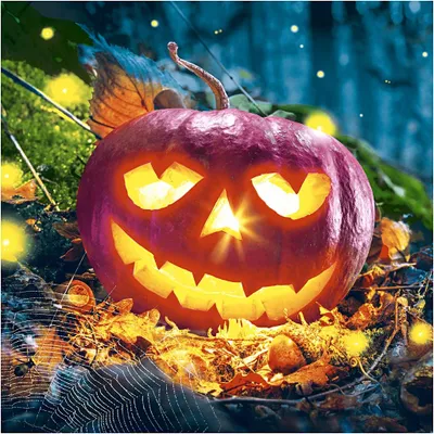 Produktbild von Paper + Design Pumpkin night, Mehrfarbig, Papier, Abbildung, 330 mm, 330 mm, 20 Stück(e)