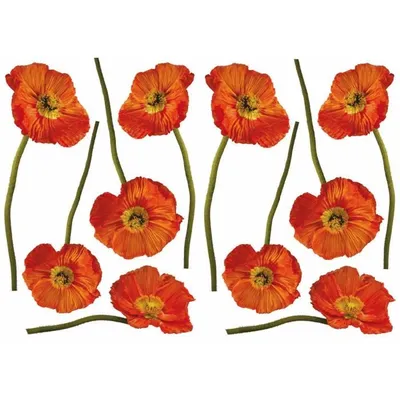 Produktbild von Wandaufkleber 3449152157007
